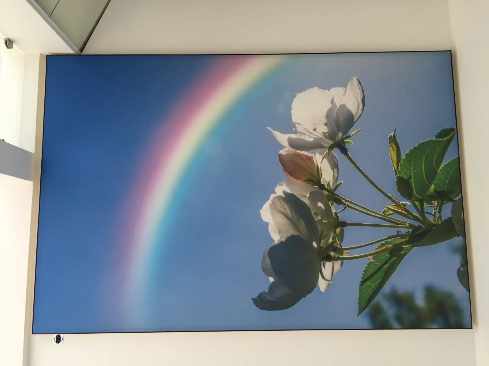 Bedrucktes Wandbild mit Blüten- und Regenbogenmotiv in einem Gewerbeobjekt