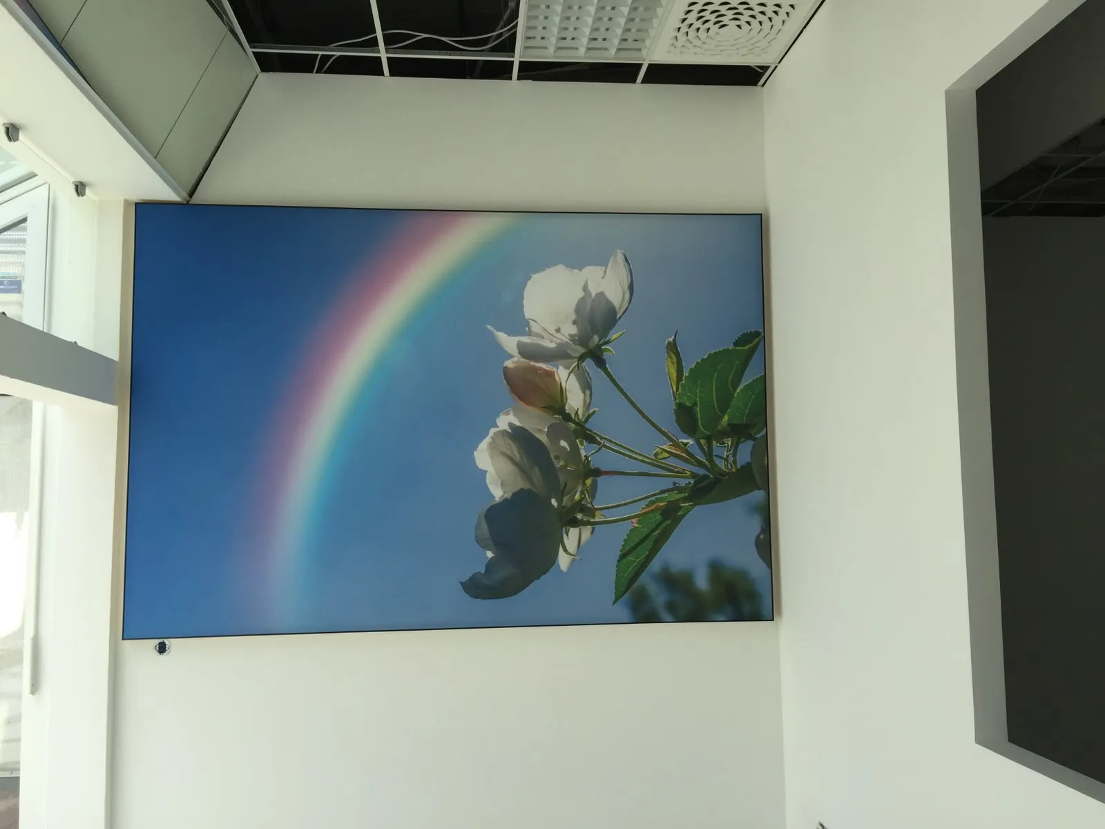Bedrucktes Gewebepaneel mit Blütenmotiv in einem Gewerbeobjekt